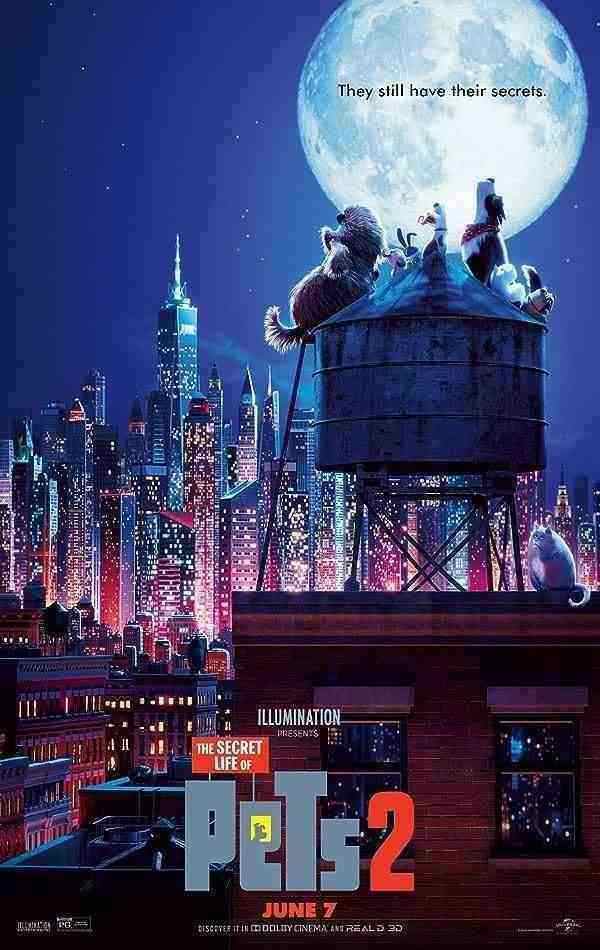انیمیشن زندگی پنهان حیوانات خانگی ۲ The Secret Life of Pets 2 2019