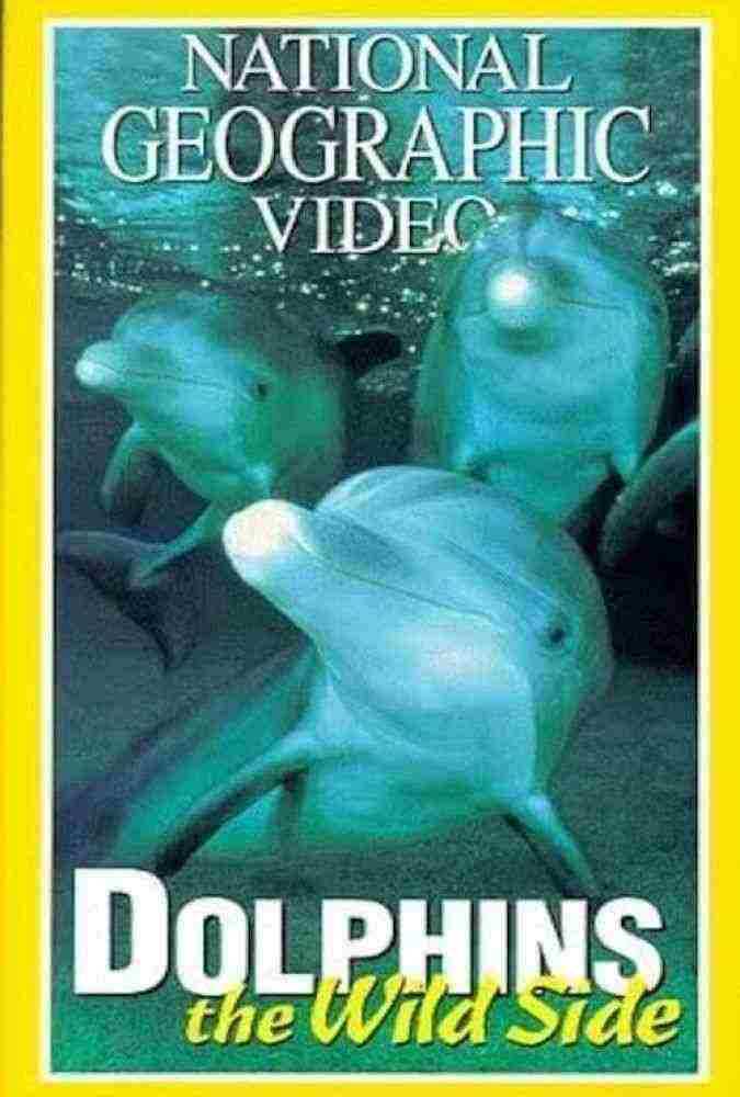 دانلود مستند دلفین های وحشی Dolphins The Wild Side 1999