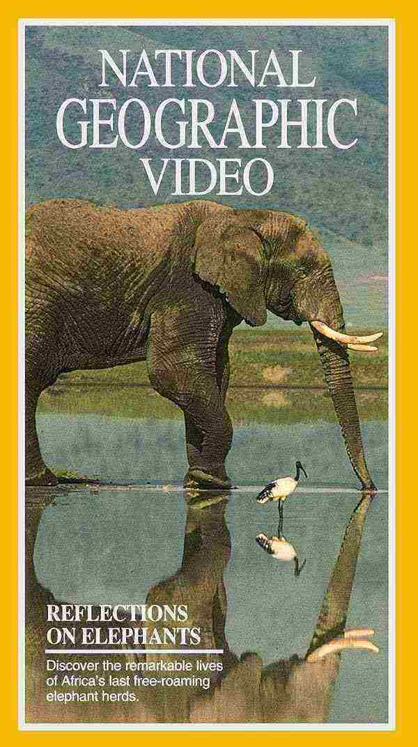 مستند فیل ها Reflections on Elephants 1994