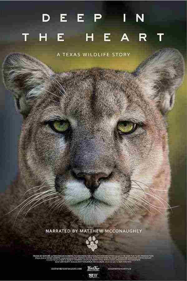 دانلود مستند Deep in the Heart A Texas Wildlife Story 2022