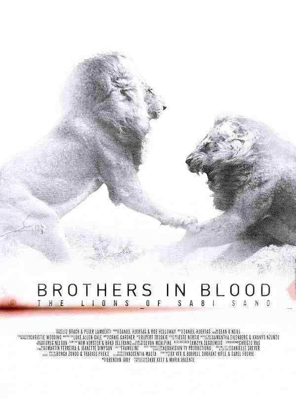 مستند برادران تنی: شیر‌های سابی سند Brothers in Blood: The Lions of Sabi Sand 2015