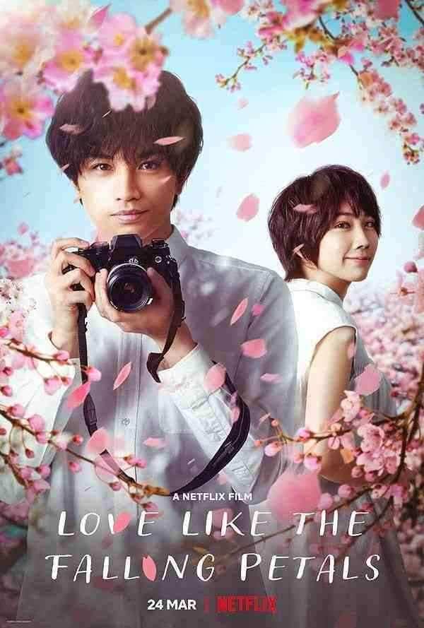 فیلم عشقی مثل گلبرگ های در حال ریزش Love Like the Falling Petals 2022