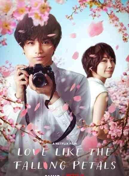 فیلم عشقی مثل گلبرگ های در حال ریزش Love Like the Falling Petals 2022