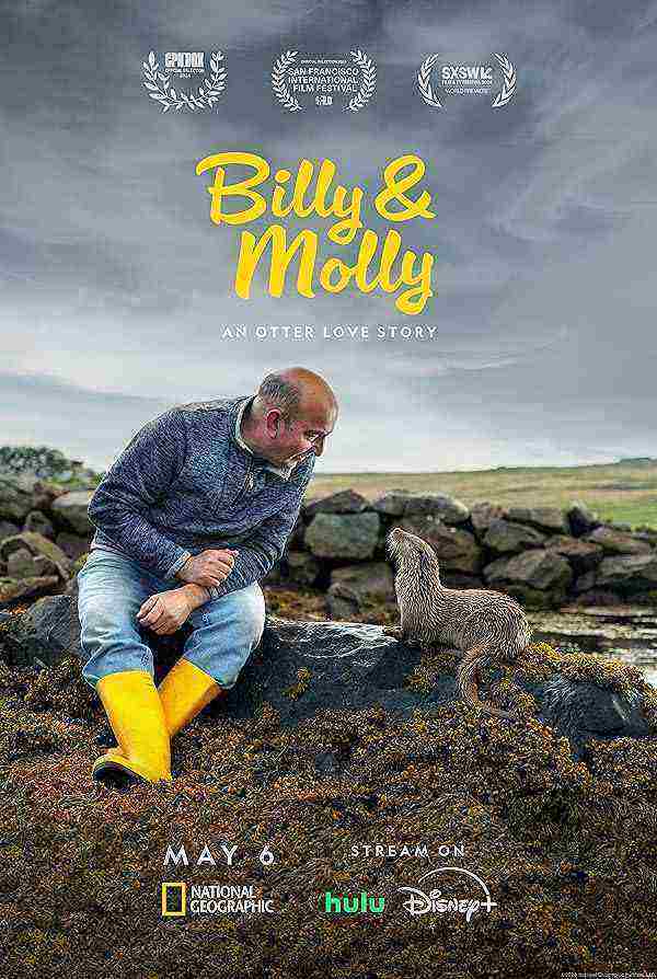 مستند بیلی و مولی Billy & Molly: An Otter Love Story 2024