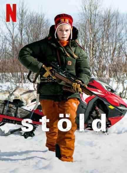 فیلم ربوده شده Stolen 2024