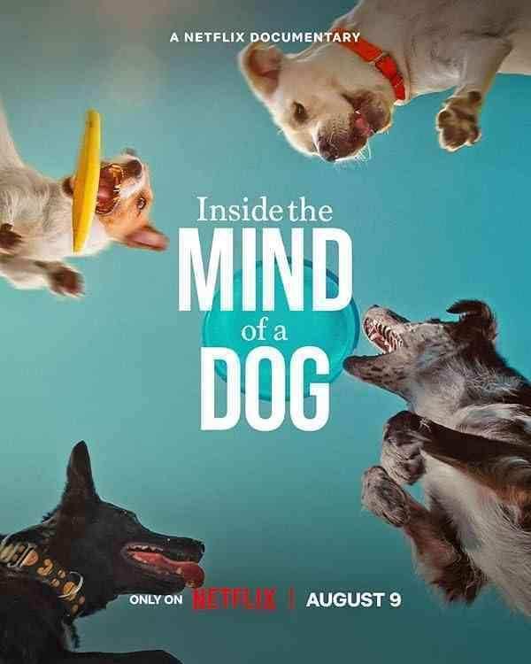 دانلود مستند درون ذهن یک سگ Inside the Mind of a Dog 2024