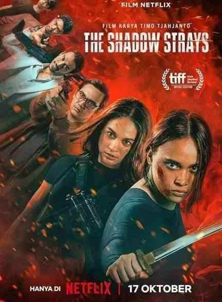 فیلم ولگردهای سایه The Shadow Strays 2024