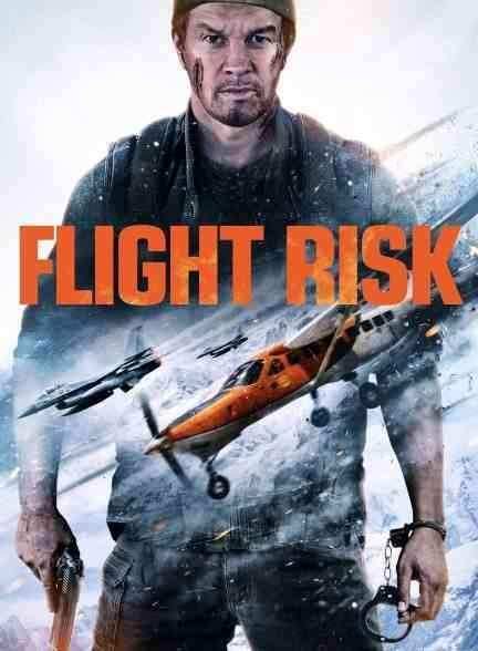فیلم خطر پرواز Flight Risk 2025