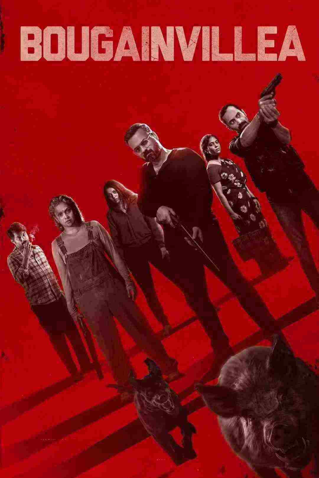 فیلم گل کاغذی Bougainvillea 2024