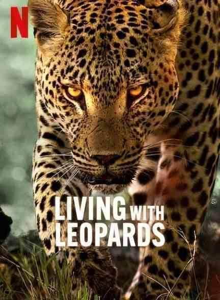 مستند زندگی با پلنگ ها Living with Leopards 2024